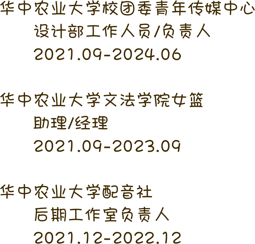 三段校园经历概览