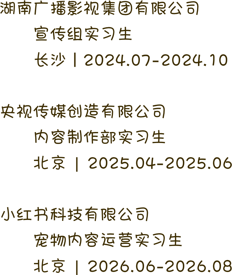 三段实习经历概览